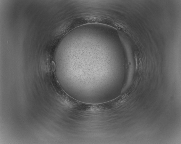 X0000061140416200511241809