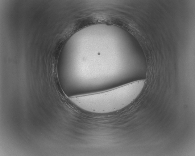 X0000061140417200511241809