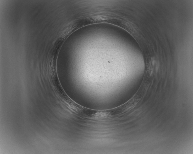 X0000061140418200511241809