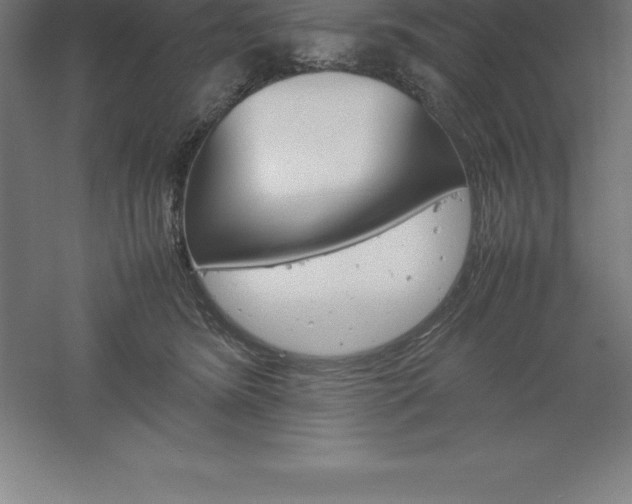 X0000061140420200511241809