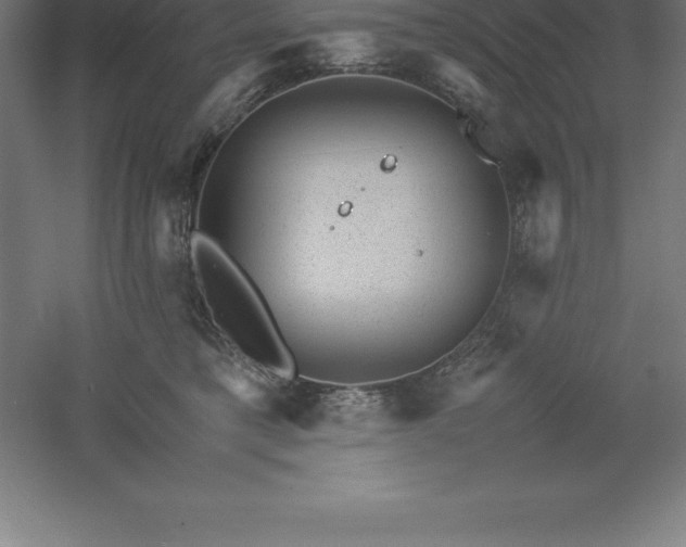 X0000061140421200511241809