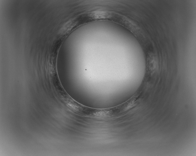 X0000061140422200511241809