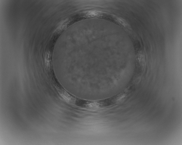 X0000061140423200511241809