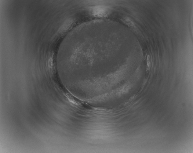 X0000061140424200511241809