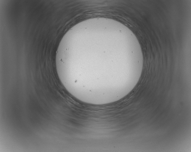 X0000061140425200511241809