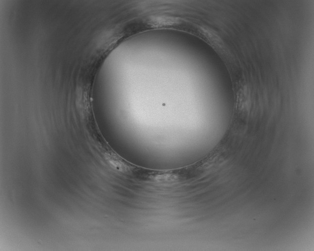 X0000061140426200511241809