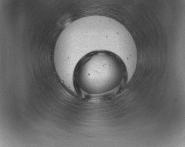 X0000061140428200511241809