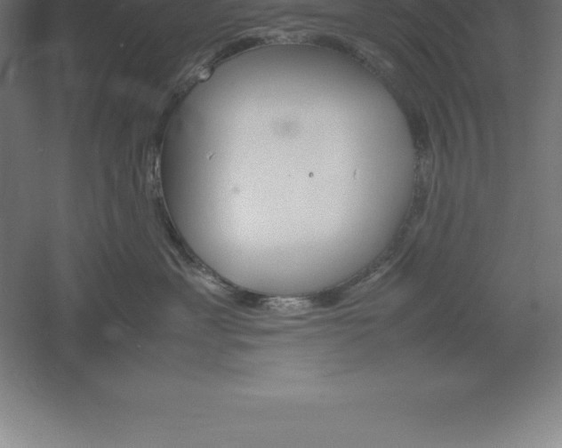 X0000061140429200511241809