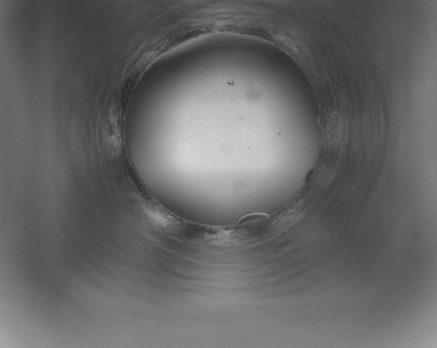 X0000061140430200511241809