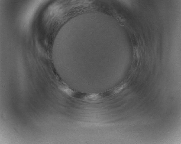 X0000061140431200511241809