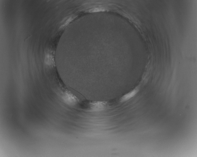 X0000061140432200511241809