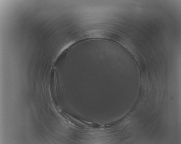 X0000061140434200511241808