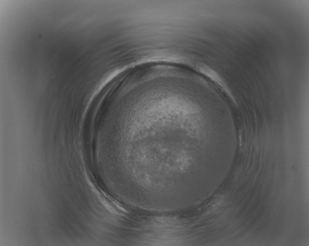 X0000061140436200511241808