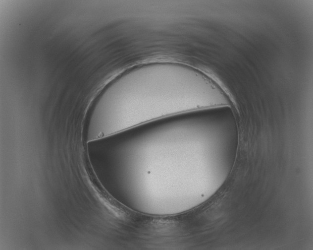 X0000061140437200511241808