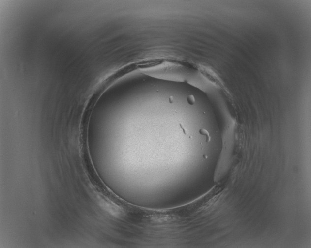 X0000061140439200511241808