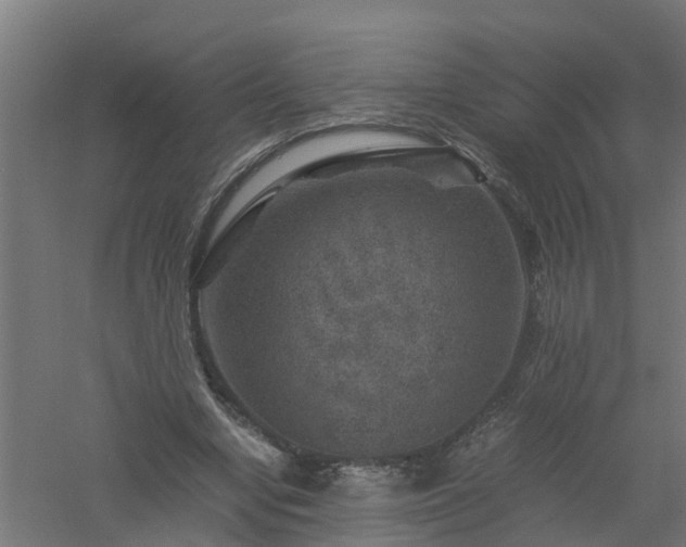 X0000061140442200511241808