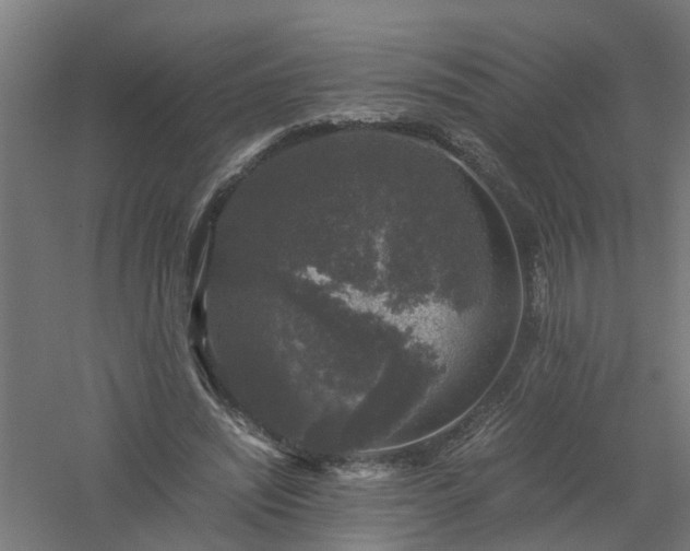 X0000061140444200511241808