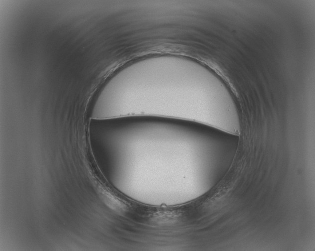 X0000061140445200511241808