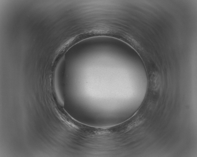 X0000061140446200511241808