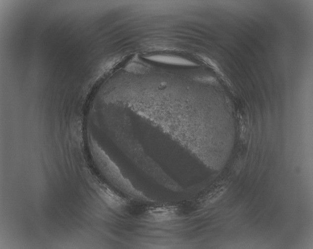 X0000061140447200511241808