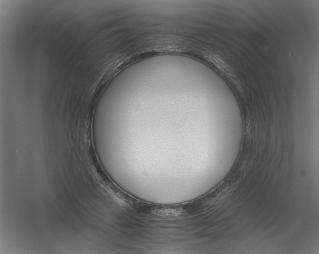 X0000061140449200511241808