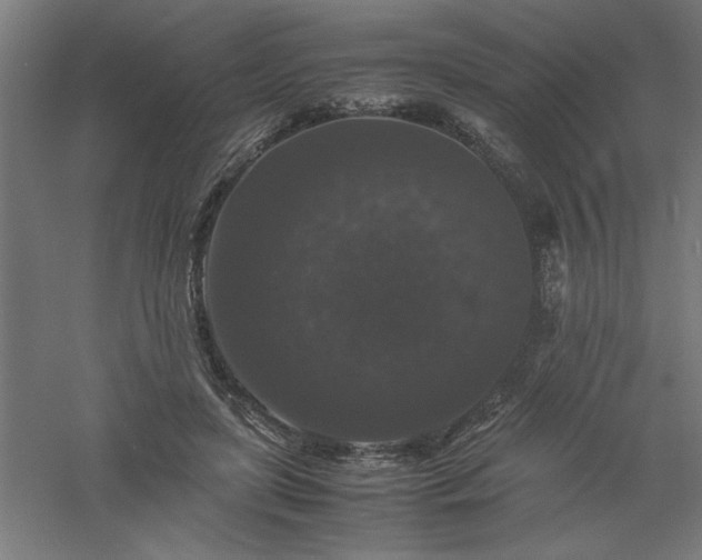 X0000061140451200511241808