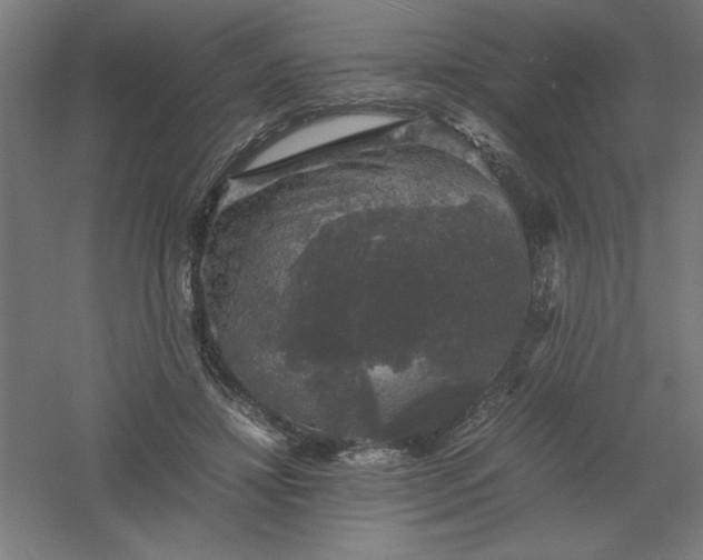 X0000061140452200511241808