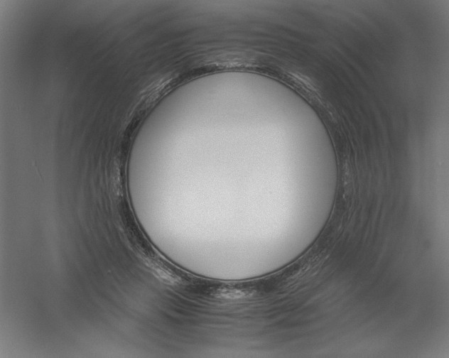 X0000061140453200511241808