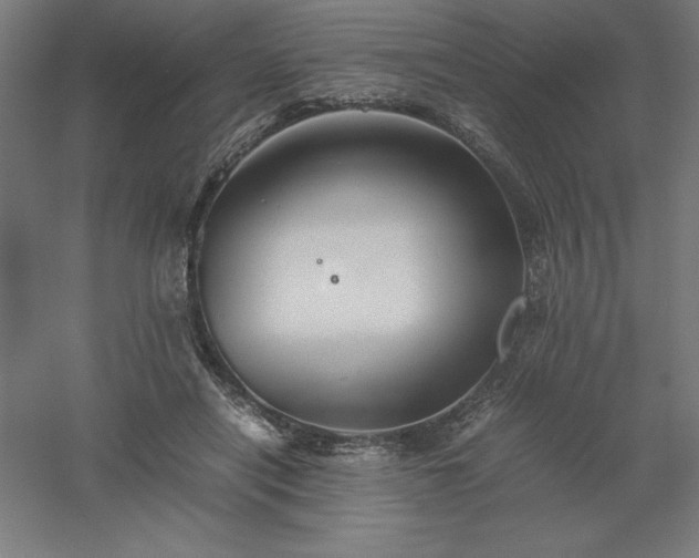 X0000061140454200511241808