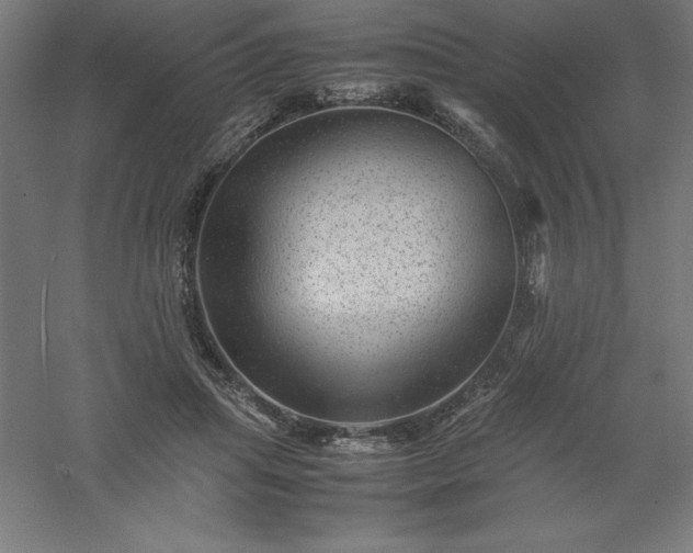 X0000061140455200511241808