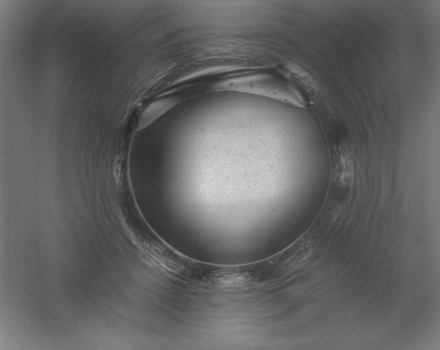 X0000061140456200511241808