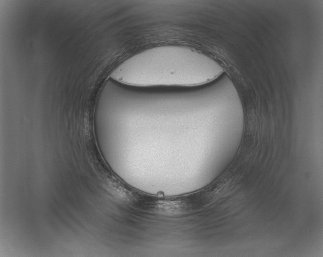 X0000061140457200511241808