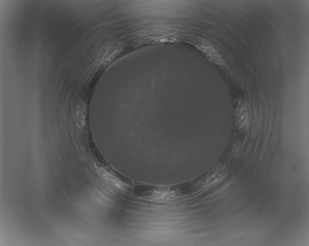 X0000061140458200511241808