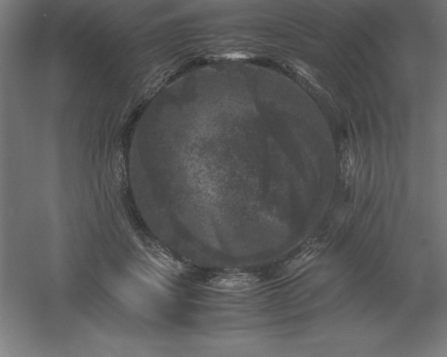 X0000061140459200511241808