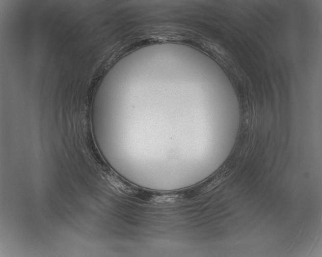 X0000061140461200511241808