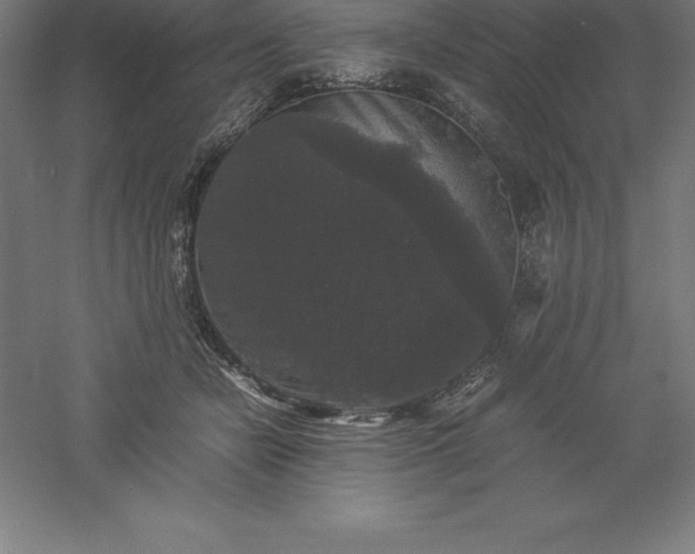 X0000061140462200511241808