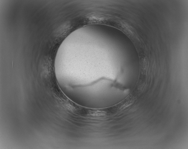 X0000061140463200511241808