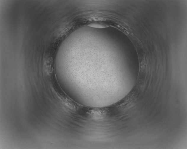 X0000061140464200511241808