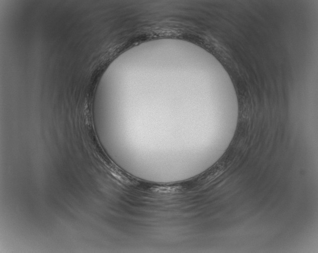 X0000061140465200511241809