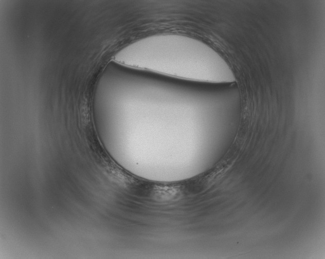 X0000061140469200511241809