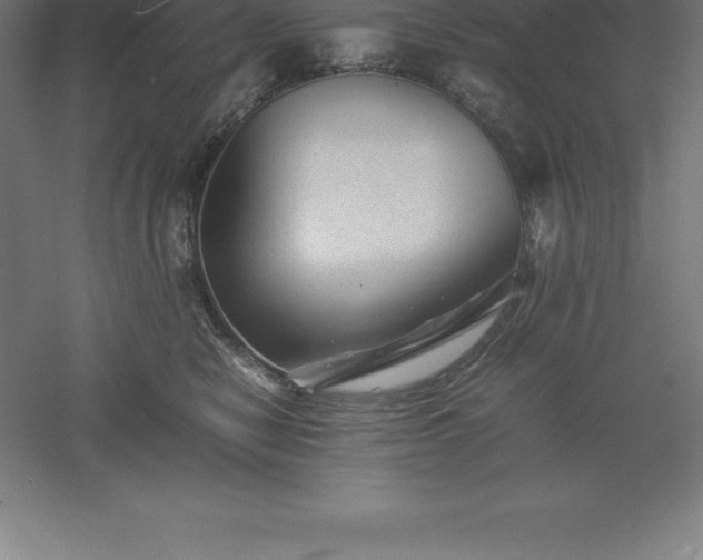 X0000061140470200511241809