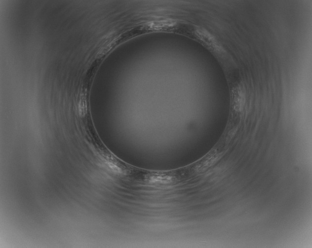 X0000061140471200511241809