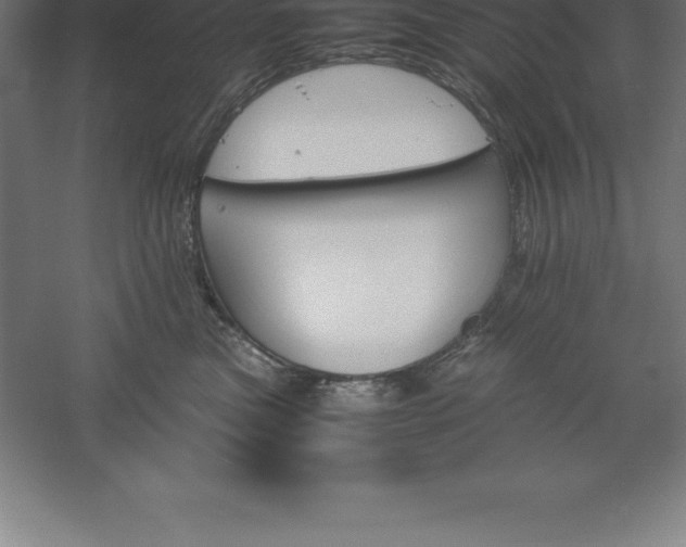 X0000061140473200511241809