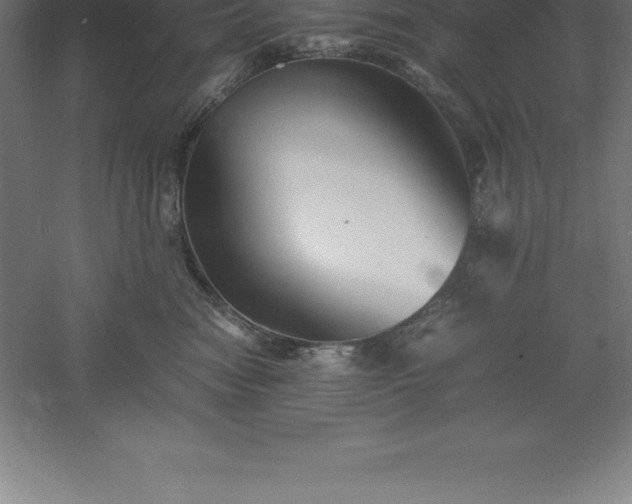 X0000061140474200511241809