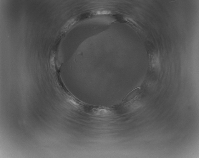 X0000061140475200511241809