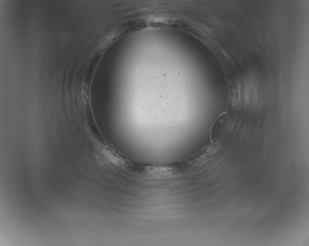 X0000061140476200511241809