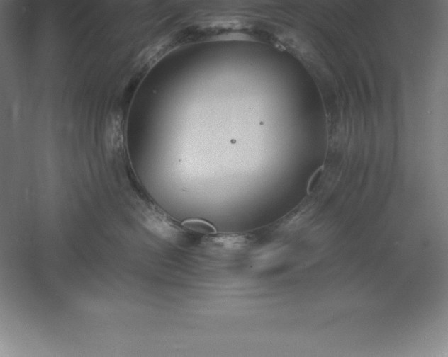 X0000061140478200511241809