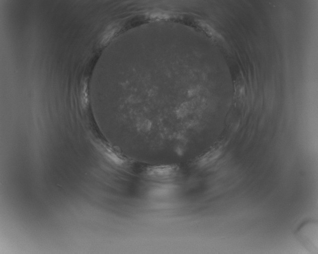 X0000061140479200511241809