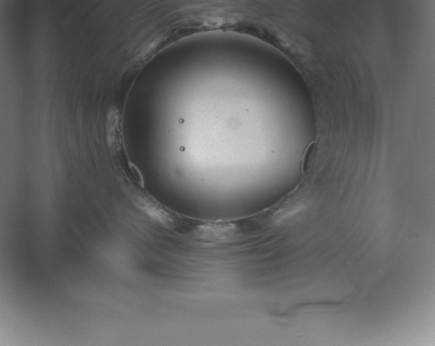 X0000061140480200511241809