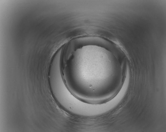 X0000061140481200511241808